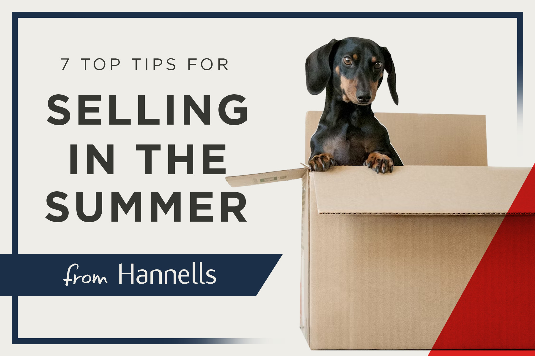 7 Top Tips For Selling Your Property This Summer Estate Agents in